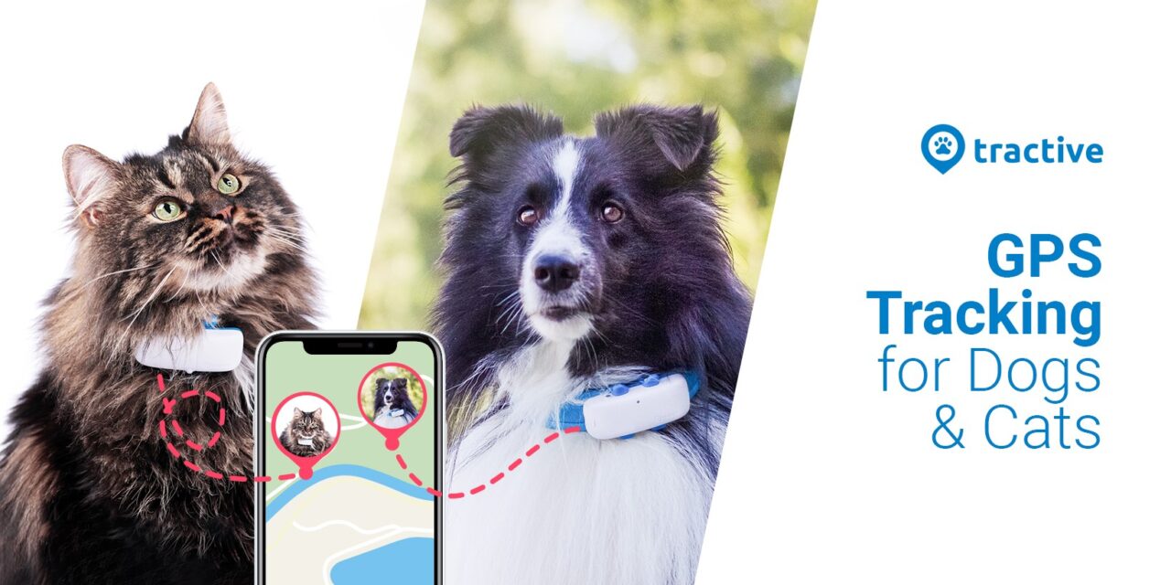 Tractive: #1 GPS tracker systeem voor kat en hond